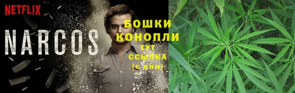 мяу мяу мука Богородицк